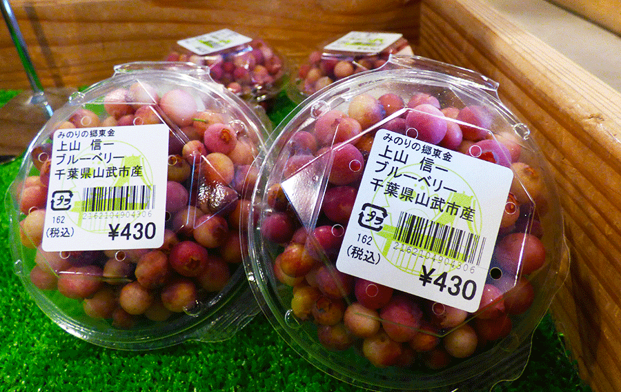 ピンクレモネード　ブルーベリー各500g 入荷情報］6月12日 ピンク色の衝撃、ピンクレモネード