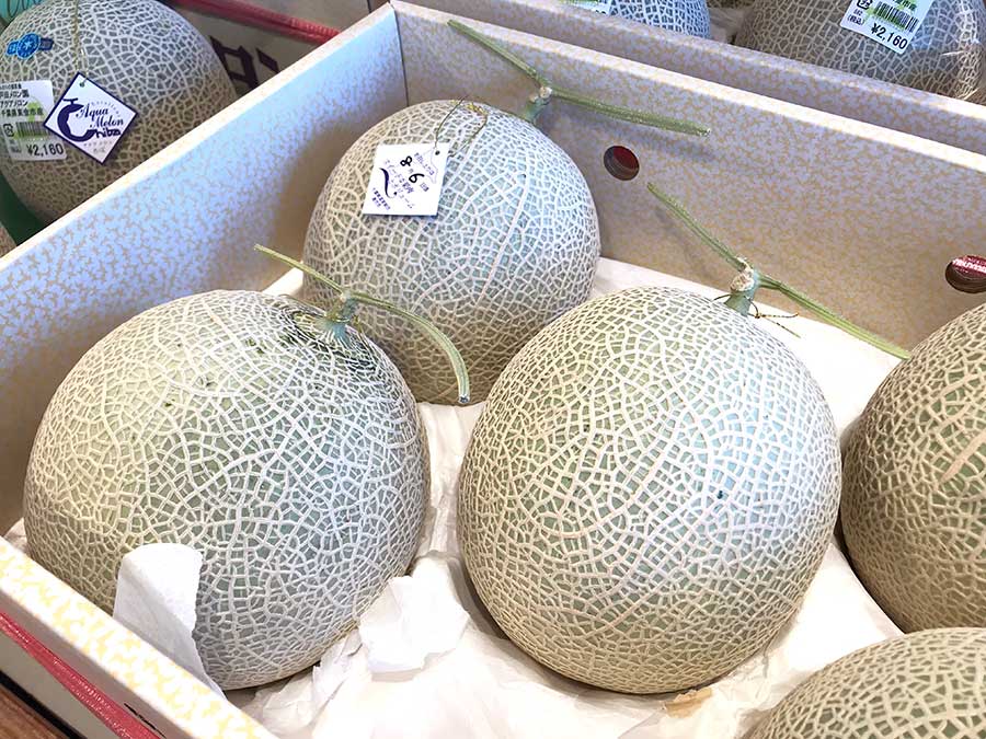 国産品 幻のメロン 入荷しました 送料込み 千葉県産 ナイルメロン 5玉 ...