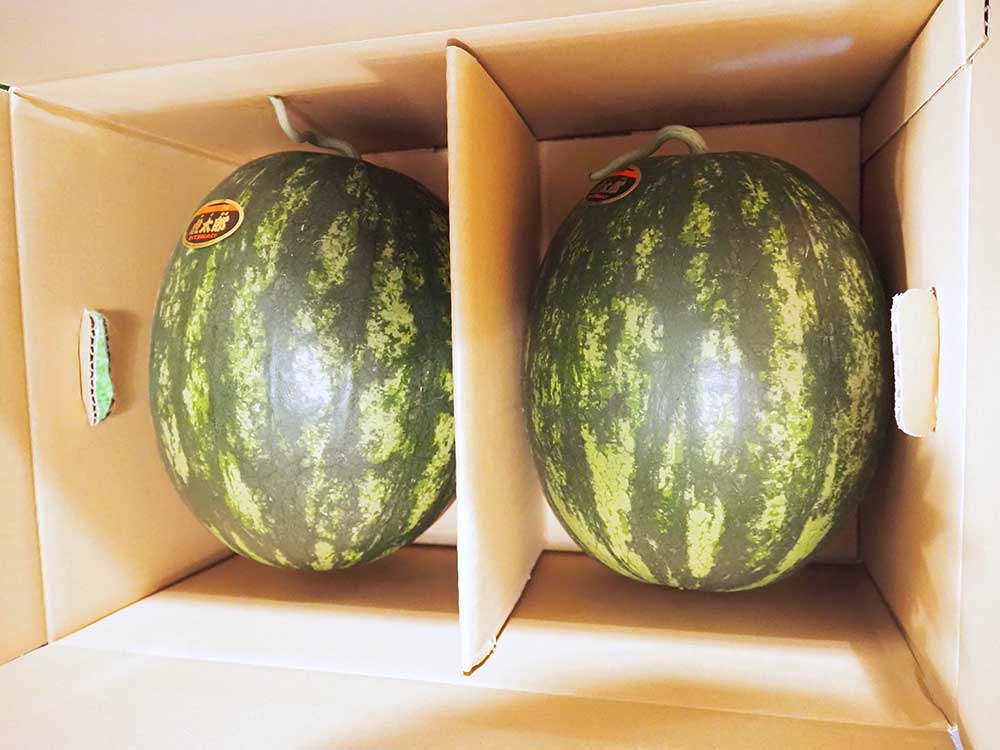入荷情報]6月6日 ご贈答用スイカ『虎太郎』や地元産『オトメ