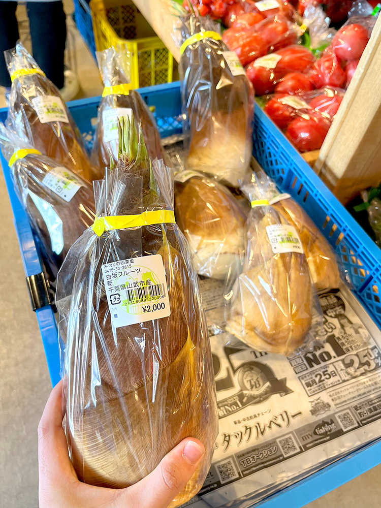 【期間限定送料無料】 入荷情報]4月4日 道の駅 | 地元産たけのこ入荷が始まりました！ 野菜