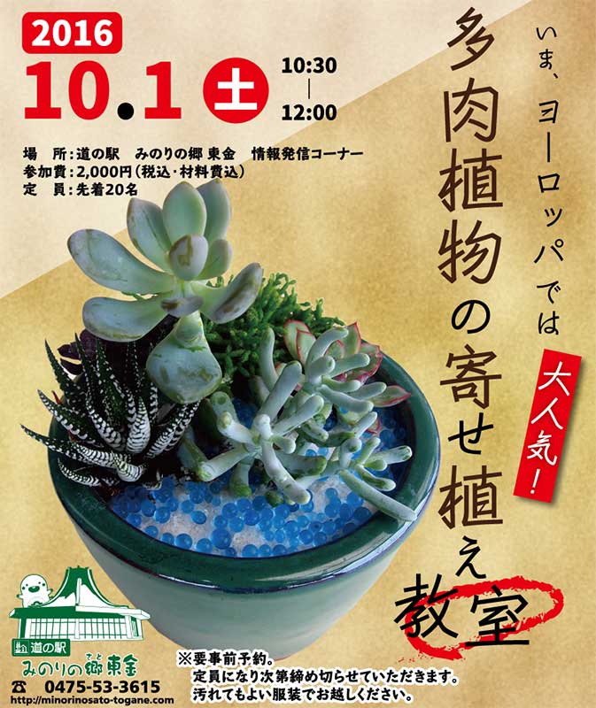 緑花木 いまヨーロッパでは大人気 多肉植物の寄せ植え教室 道の駅 みのりの郷東金 千葉県東金市