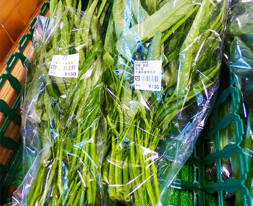 新鮮 空芯菜 5キロ+つるむらさき 5キロ+かぼちゃ葉っぱ4キロ 新鮮