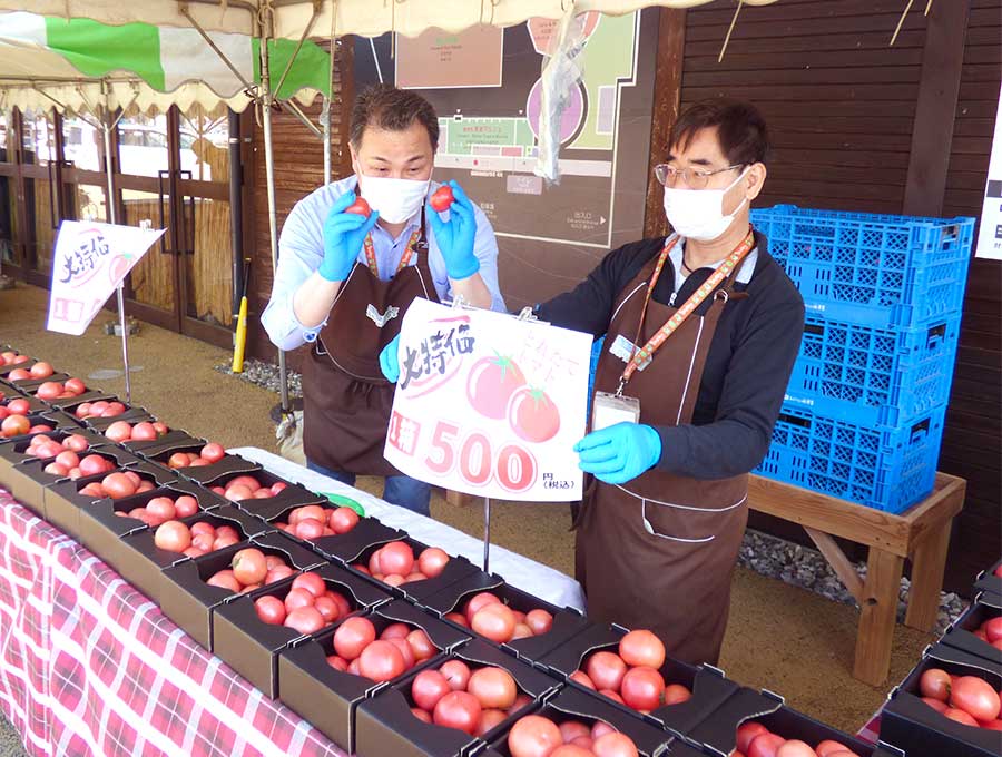 入荷情報]4月4日 鮮やかなグリーンのフレッシュセロリ！ | 道の駅 みのりの郷東金 千葉県東金市