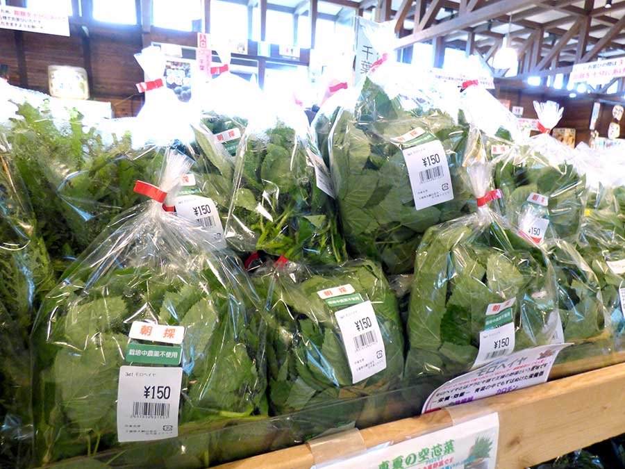 入荷情報 8月30日 野菜の王様 モロヘイヤの入荷が始まりました 道の駅 みのりの郷東金 千葉県東金市