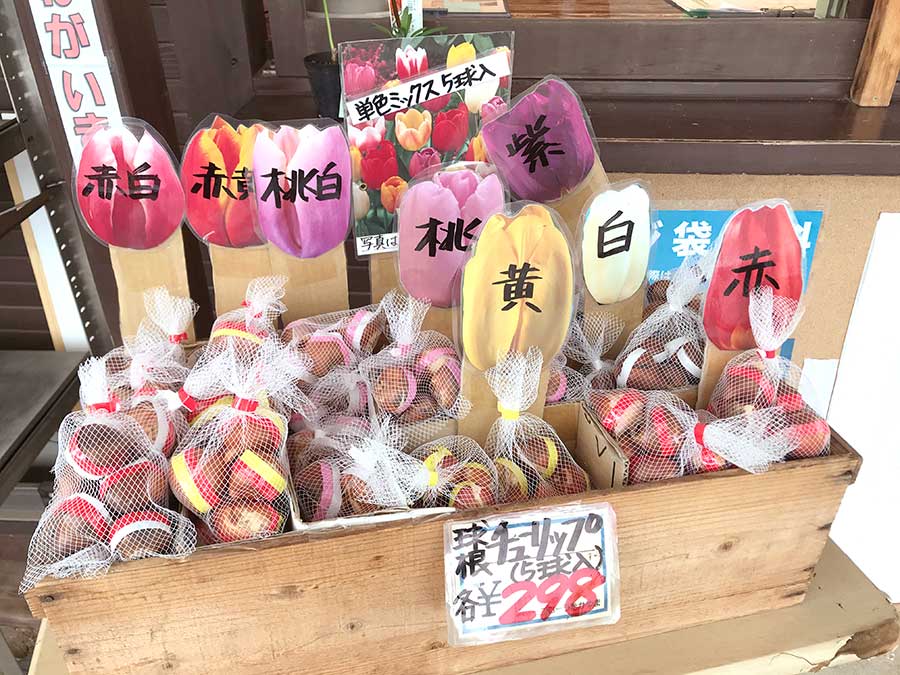 緑花木 そろそろチューリップの植え込み時期が来ますよ 道の駅 みのりの郷東金 千葉県東金市