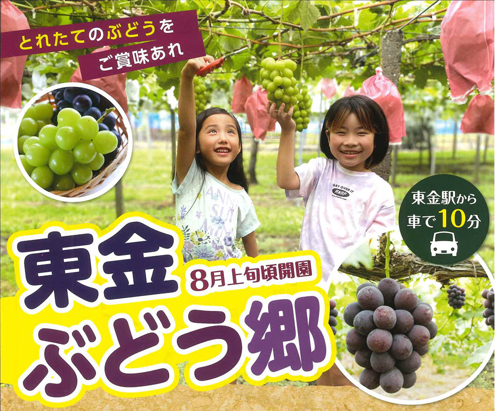 倉田農園　窪様　発送ブドウ　お支払いカート 窪さん専用 ブドウ支払いカート 倉田農園の通販 by
