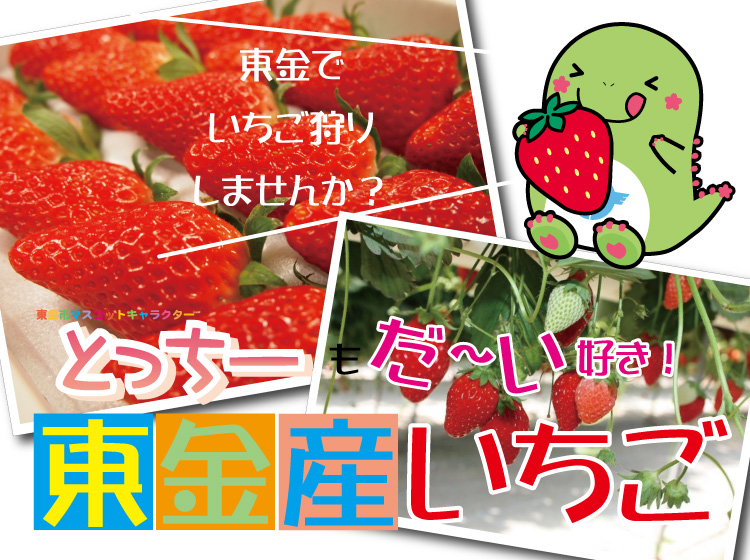 みのりの郷 東金いちご狩り 12月中旬オープン 3歳以下のお子様は無料です 高齢者割引もあり 道の駅 みのりの郷東金 千葉県東金市