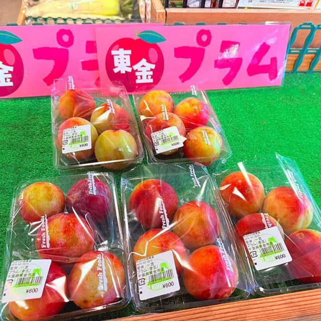 千葉県産（JAかとり）さつまいも 紅あずま 秀品 Mサイズ 約4.5kg