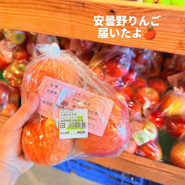 赤かぶ　あかかぶ　もものすけ20kg アウトレット ストア食品・飲料・酒 - 赤かぶ あかかぶ ももの