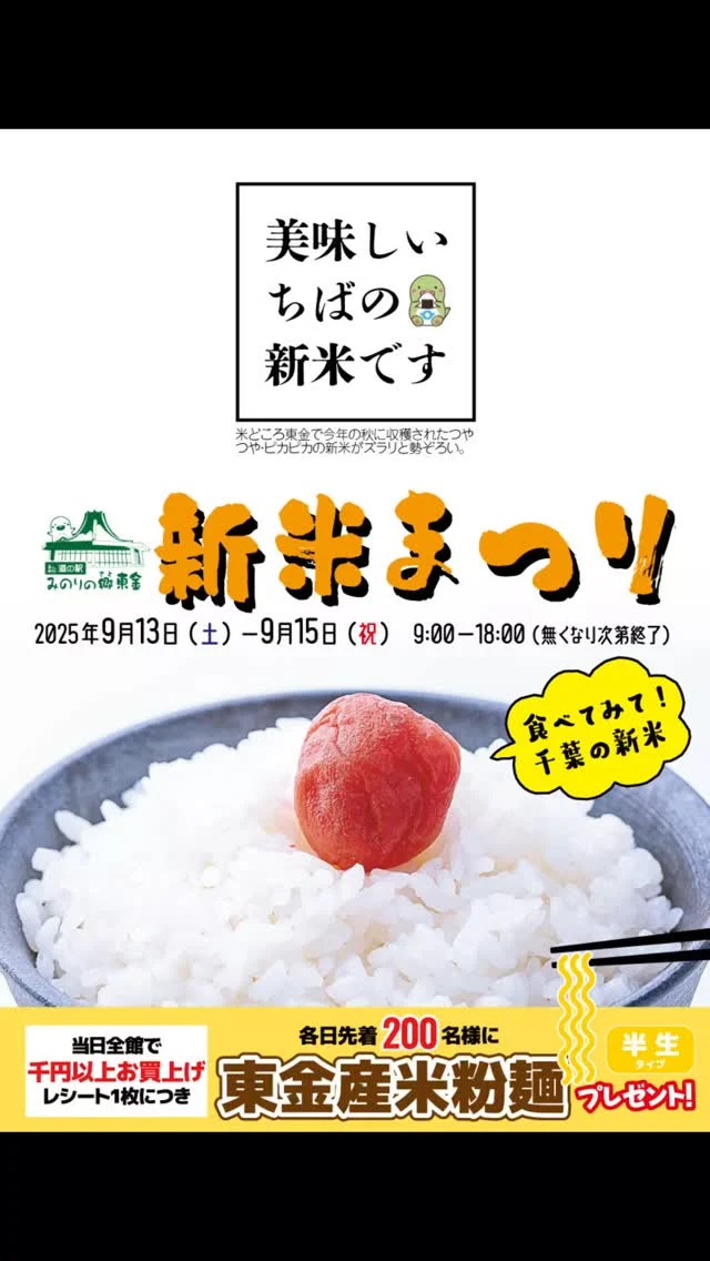 千葉県白子産 新たまねぎ 20kg 令和7年の先行予約募集・数量限定】生で食べても美味しい！白子
