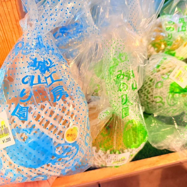 入荷情報]4月4日 地元産たけのこ入荷が始まりました！ | 道の駅