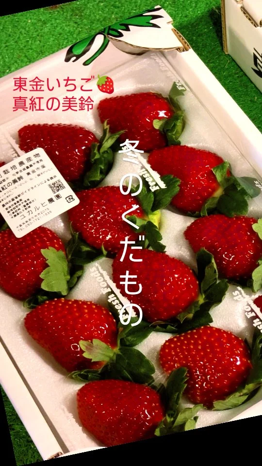 2019.8月東金に大相撲がやってくる！令和元年夏巡業大相撲東金場所