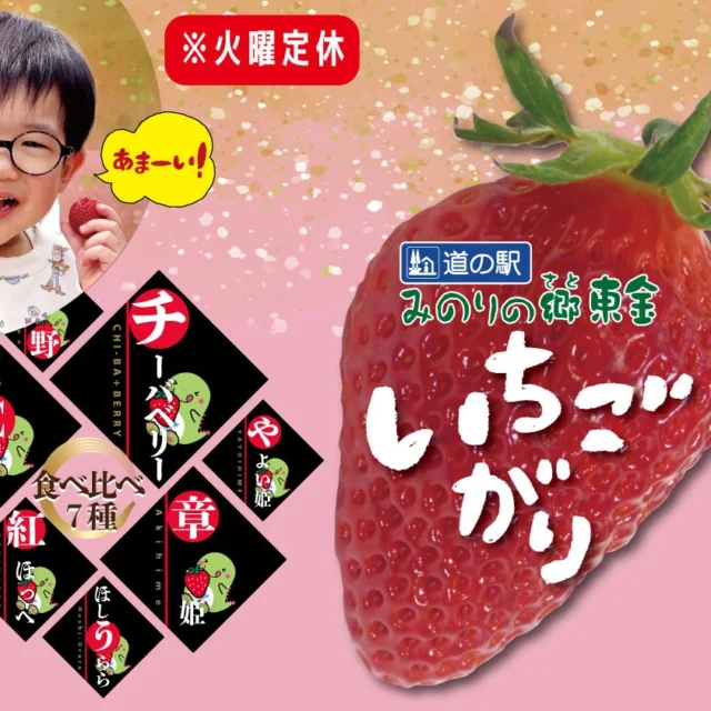 2025年1月4日（土）より「みのりの郷東金いちご狩り」オープンします
