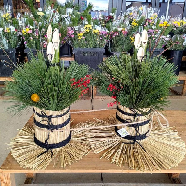 2019.8月東金に大相撲がやってくる！令和元年夏巡業大相撲東金場所